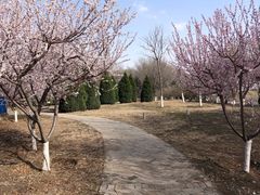 -永定河休闲森林公园