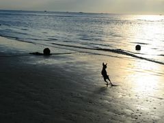 -南戴河旅游度假区