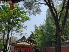 -护国法轮寺