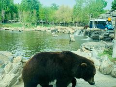 -北京野生动物园