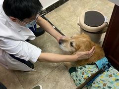 -美联众合动物医院·24h转诊中心