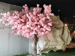 -中铁花水湾四季温泉谷