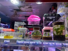 -新官园花鸟鱼虫市场(皖西大厦店)
