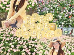 -荷兰花海