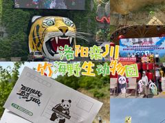 -栾川竹海野生动物园