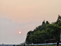 -东平国家森林公园