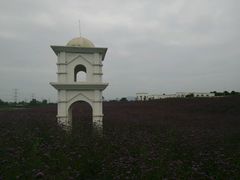 android_upload_pic-紫颐香薰山谷景区