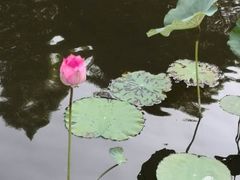 -厦门国家会计学院