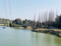 -宜兴龙背山森林公园
