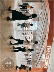 -THE COLORIST调色师