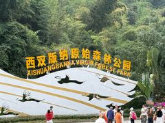-西双版纳原始森林公园