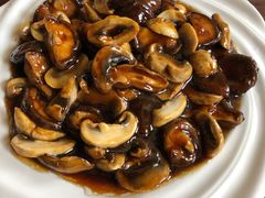 -松声马术俱乐部