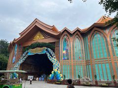 -西双版纳原始森林公园