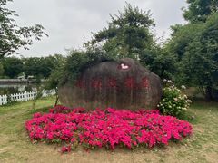 -鹅湖玫瑰文化园