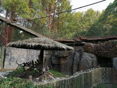 -上海野生动物园