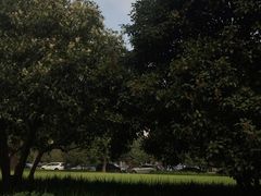 -浙江宾馆·花园餐厅·自助餐厅·茶吧
