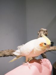 -Zoolung Zoolung动物主题公园(海信广场店)