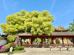 -上海东林寺(金山区)