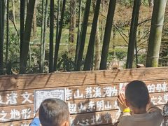 -东明山森林公园