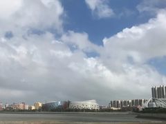 -星光岛