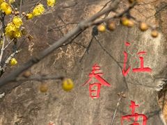 -无锡梅园公园