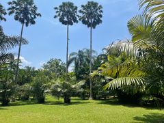 -中国科学院西双版纳热带植物园