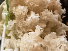 -蜀辣居鲜货老火锅(双流万达店)