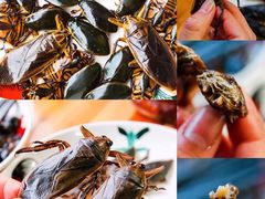 -莫华(锦绣趣园北街店)