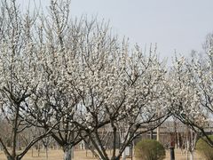 -水西公园