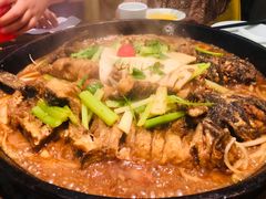 -老板恋上鱼(恒隆广场店)