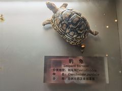 -大连自然博物馆