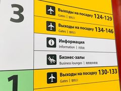 -谢列梅捷沃国际机场