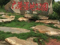 -大港湿地公园
