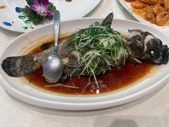 -大东海海鲜酒楼(渔人码头总店)