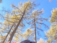 -塞罕坝国家级自然保护区