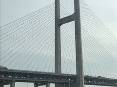 -锐擎卡丁车主题乐园(郊野公园店)