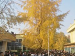 -星巴克(成都龙湖三千集店)