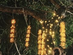 -三亚南山文化旅游区