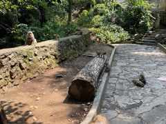 -黔灵山公园