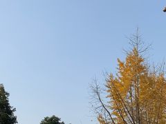 -重庆工商大学(南岸校区)