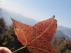 -广州市石门国家森林公园