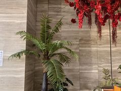 -唐宫足道·SPA·住宿24H会所(木渎店)