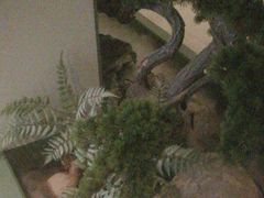 -潮上潮(南中环店)