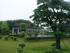 景点-大湾区中央湿地公园