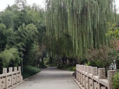 -昆山城市生态森林公园