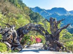 -龙湾潭国家森林公园