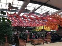 -君临七星生态酒店