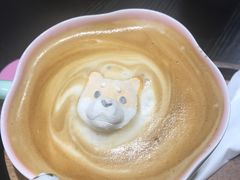 -逗柴咖啡屋·狗咖猫咖宠物桌游