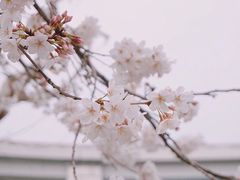 -上海南浦大桥长途旅游客运站