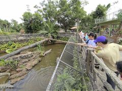 -海南热带野生动植物园